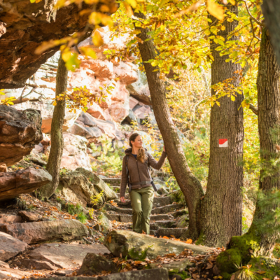 Bild vergr&ouml;&szlig;ern: Wandern Hohfels