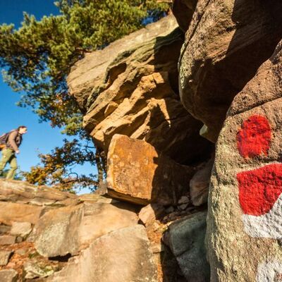 Bild vergr&ouml;&szlig;ern: Wandern auf dem Pfälzer Weinsteig in Neustadt an der Weinstraße