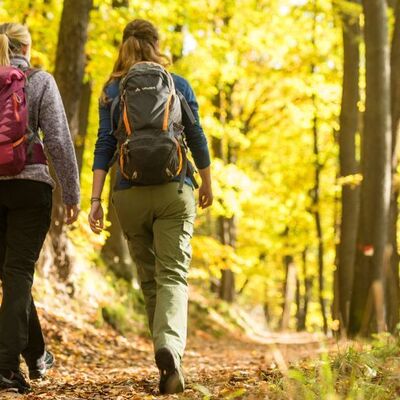 Bild vergr&ouml;&szlig;ern: Wandern auf dem Pfälzer Weinsteig in Neustadt an der Weinstraße