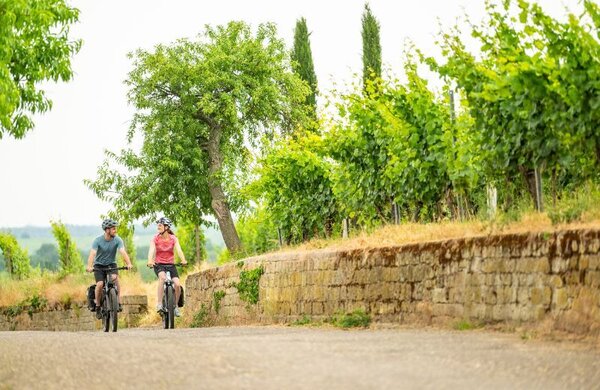 Bild vergr&ouml;&szlig;ern: Sandsteinmauer am Radweg Deutsche Weinstraße bei Wachenheim
