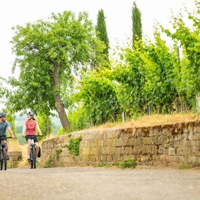 Bild vergr&ouml;&szlig;ern: Sandsteinmauer am Radweg Deutsche Weinstraße bei Wachenheim