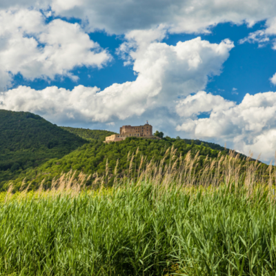 Bild vergr&ouml;&szlig;ern: Blick auf Hambacher Schloss