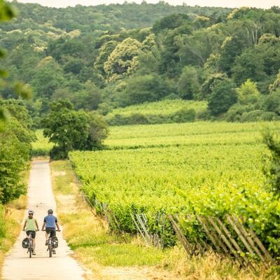 Bild vergr&ouml;&szlig;ern: Radtour durchs Weinland am Flaggenturm Bad Dürkheim