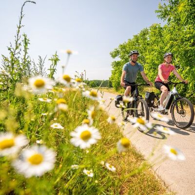 Bild vergr&ouml;&szlig;ern: Radfahren im Sommer bei Niederkirchen