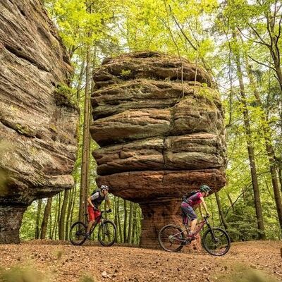Bild vergr&ouml;&szlig;ern: Mountainbiken im Pfälzerwald