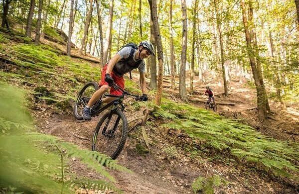 Bild vergr&ouml;&szlig;ern: Mountainbiken im Pfälzerwald