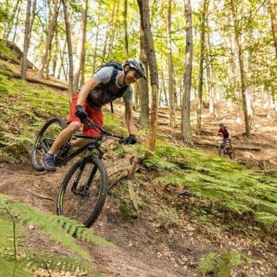 Bild vergr&ouml;&szlig;ern: Mountainbiken im Pfälzerwald