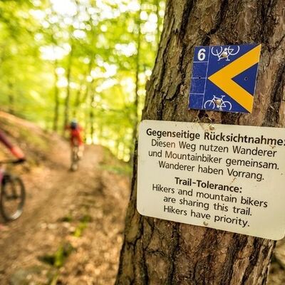 Bild vergr&ouml;&szlig;ern: Mountainbiken im Pfälzerwald
