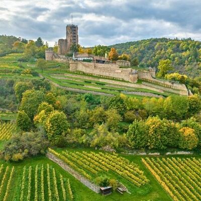 Bild vergr&ouml;&szlig;ern: Wachtenburg in Wachenheim