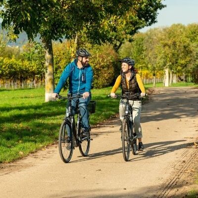 Bild vergr&ouml;&szlig;ern: Radtour durchs Weinland bei Kirrweiler