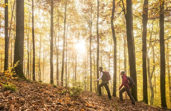 Bild vergr&ouml;&szlig;ern: Wandern
