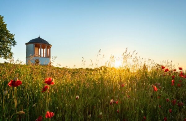 Bild vergr&ouml;&szlig;ern: Blick auf den Deidesheimer Tempel im Sonnenuntergang. Das Bild verlinkt zu aktuellen Meldungen aus dem Neustadter Weindorf Haardt.