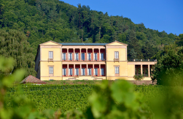 Bild vergr&ouml;&szlig;ern: Schloss Villa Ludwigshöhe